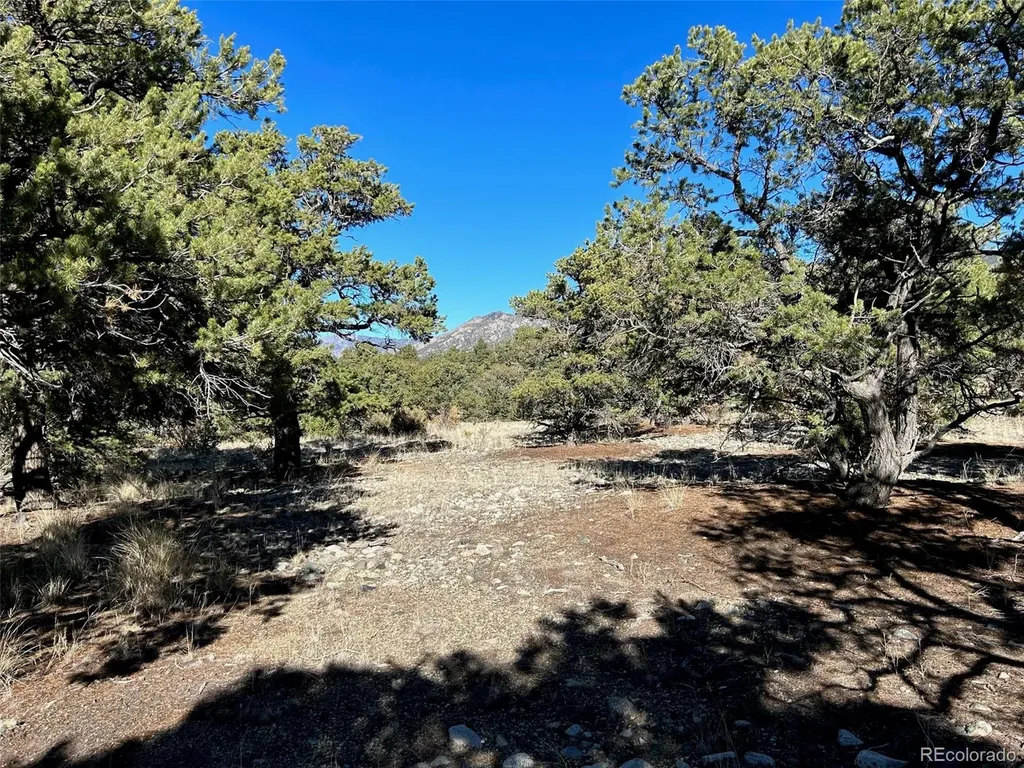 03 Mill Run Road Mosca CO 81146