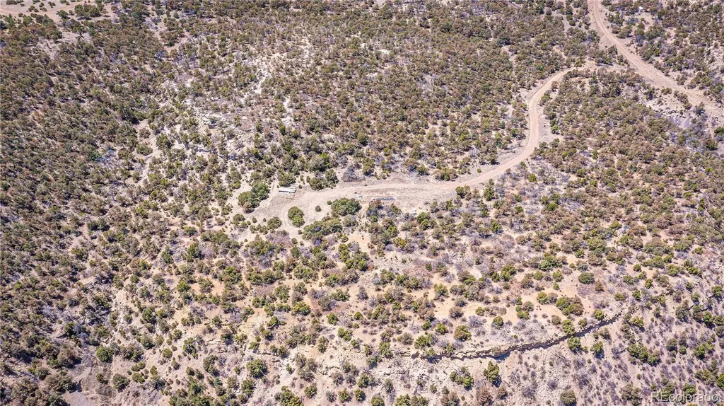 Rikki Rowdy Place Aguilar CO 81020