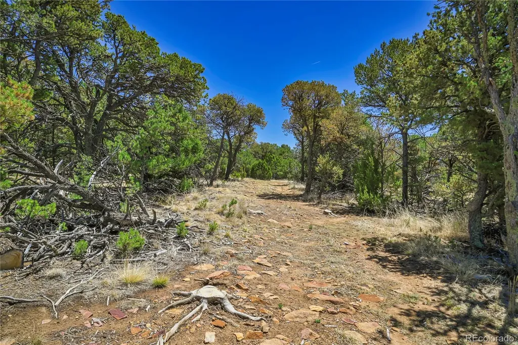 Rikki Rowdy Place Aguilar CO 81020