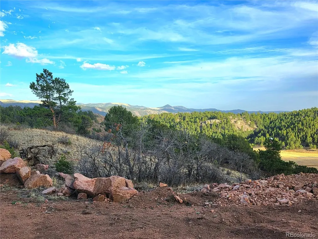 204 Pine Road Florissant CO 80816