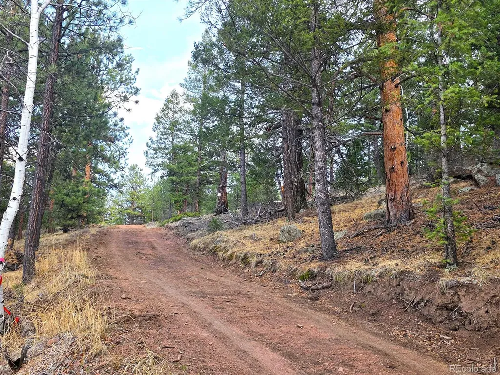 204 Pine Road Florissant CO 80816