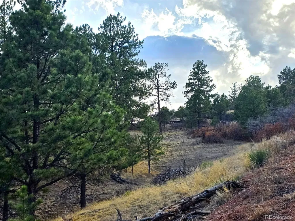 204 Pine Road Florissant CO 80816