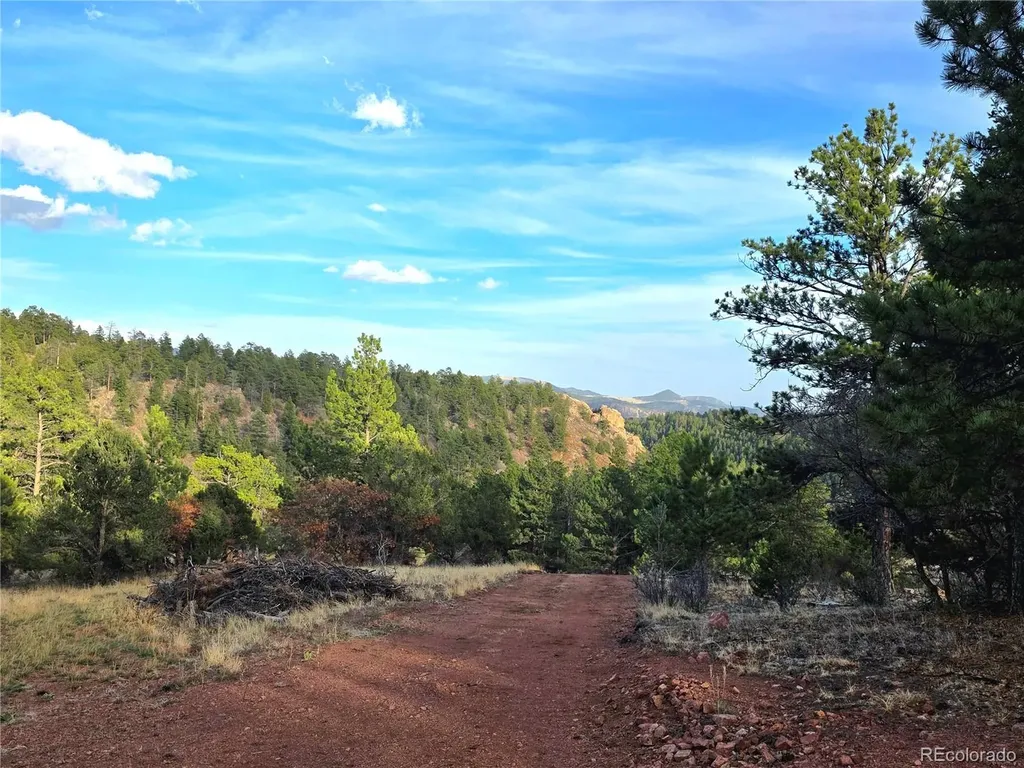 204 Pine Road Florissant CO 80816