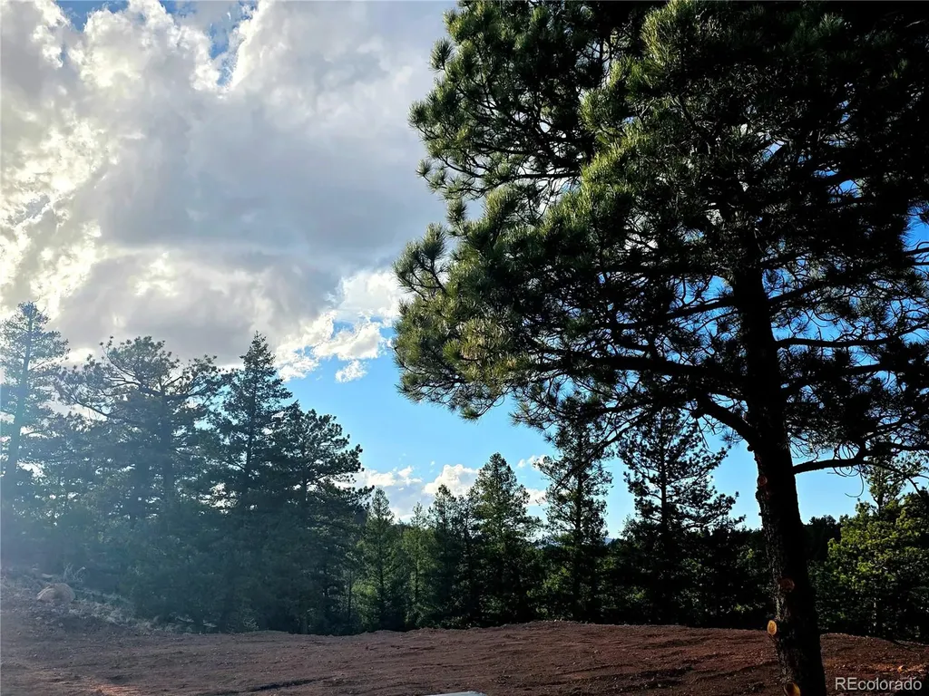 204 Pine Road Florissant CO 80816