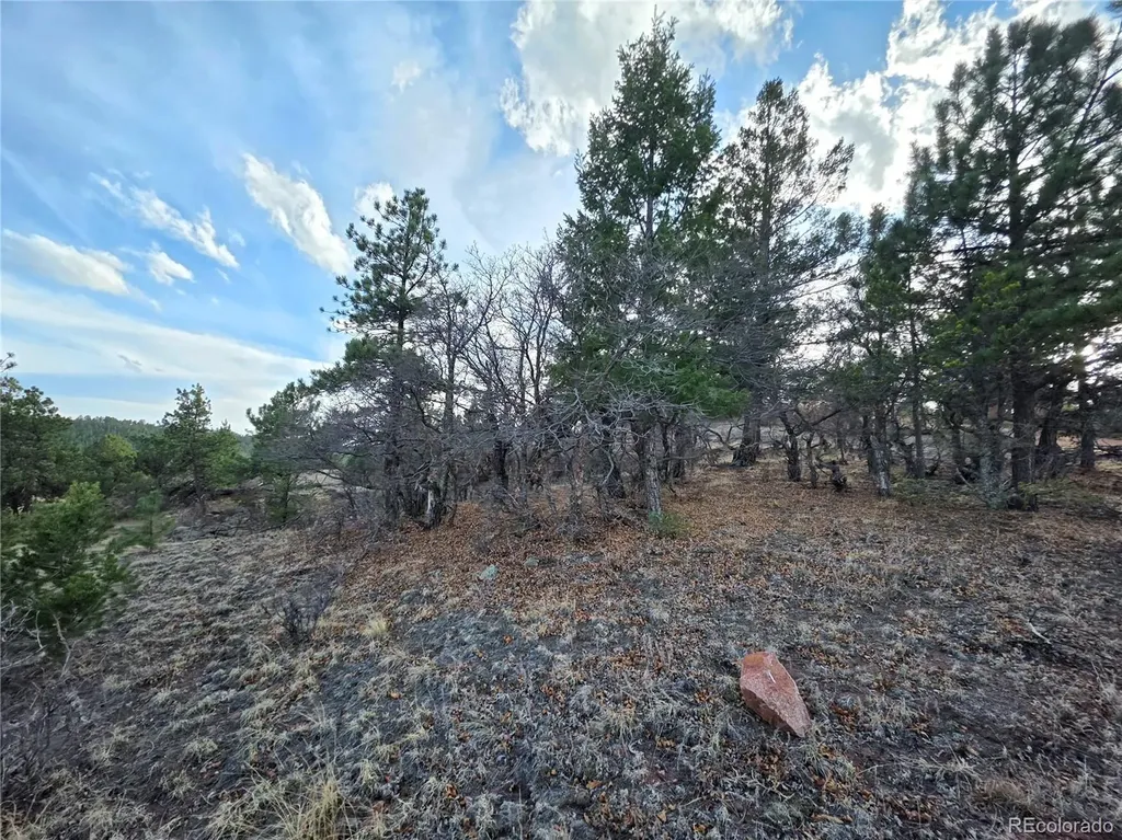 204 Pine Road Florissant CO 80816