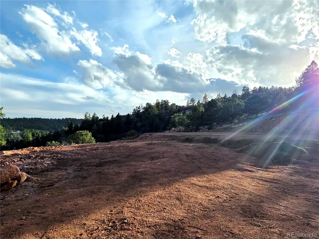 204 Pine Road Florissant CO 80816