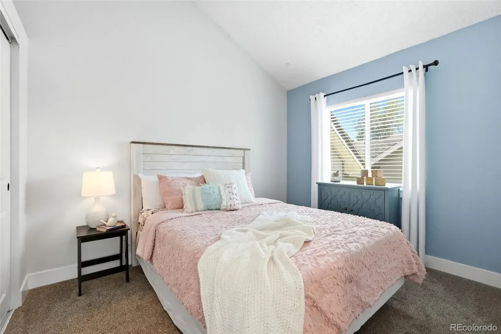 11517 Wray Court Parker CO 80134