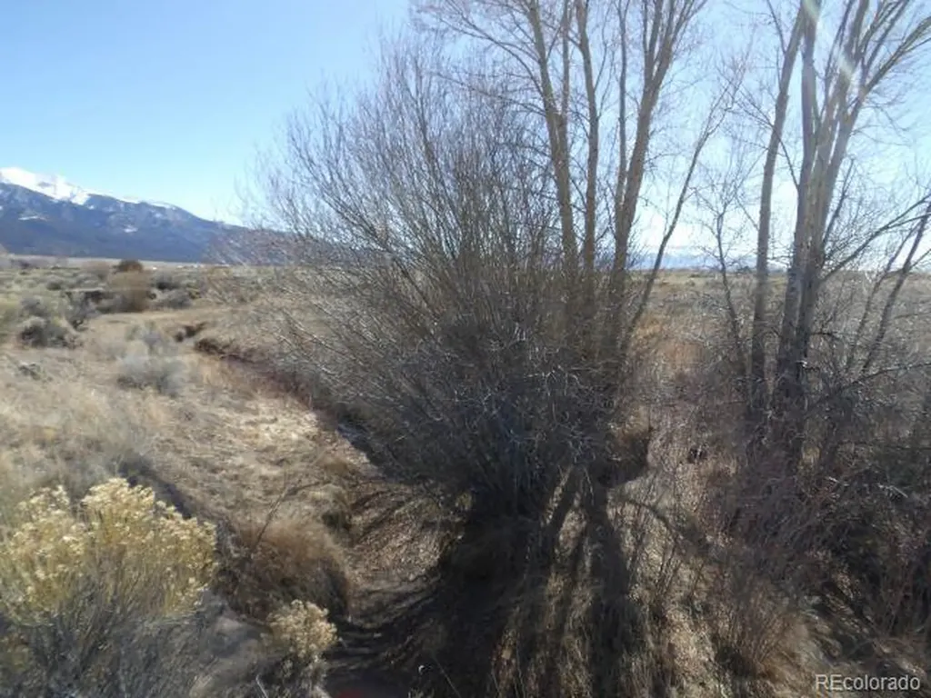 530 Camino Del Rey Crestone CO 81131