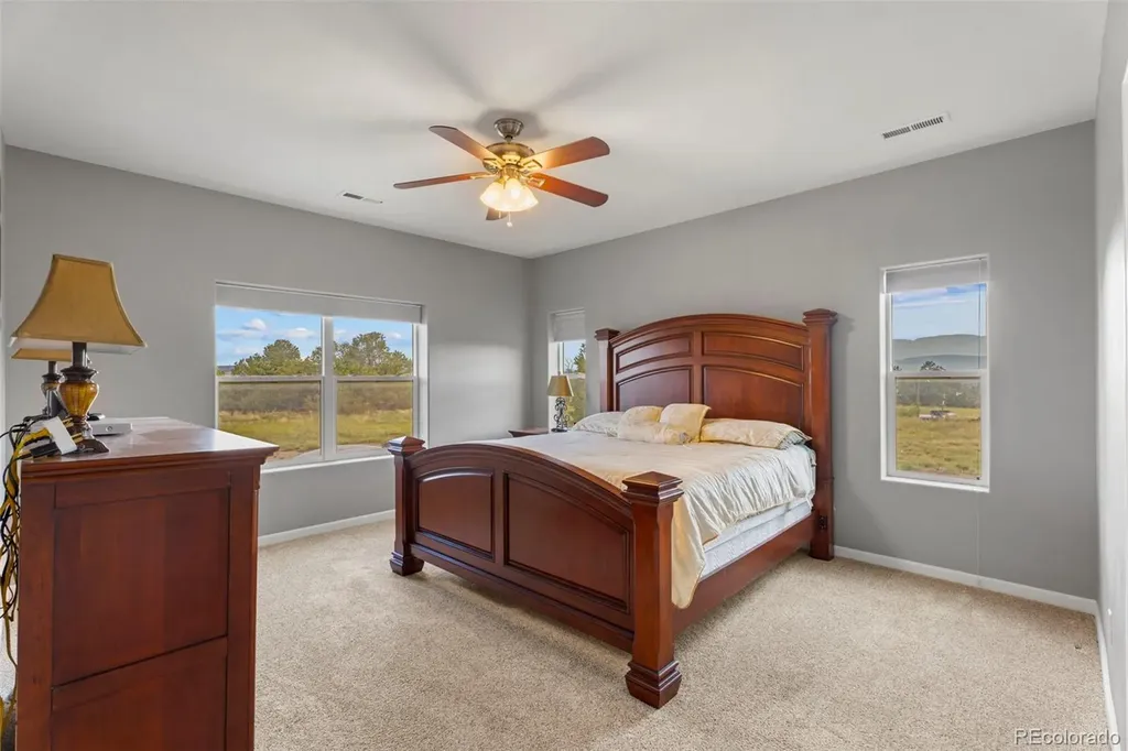 6040 Big Sky Drive Rye CO 81069
