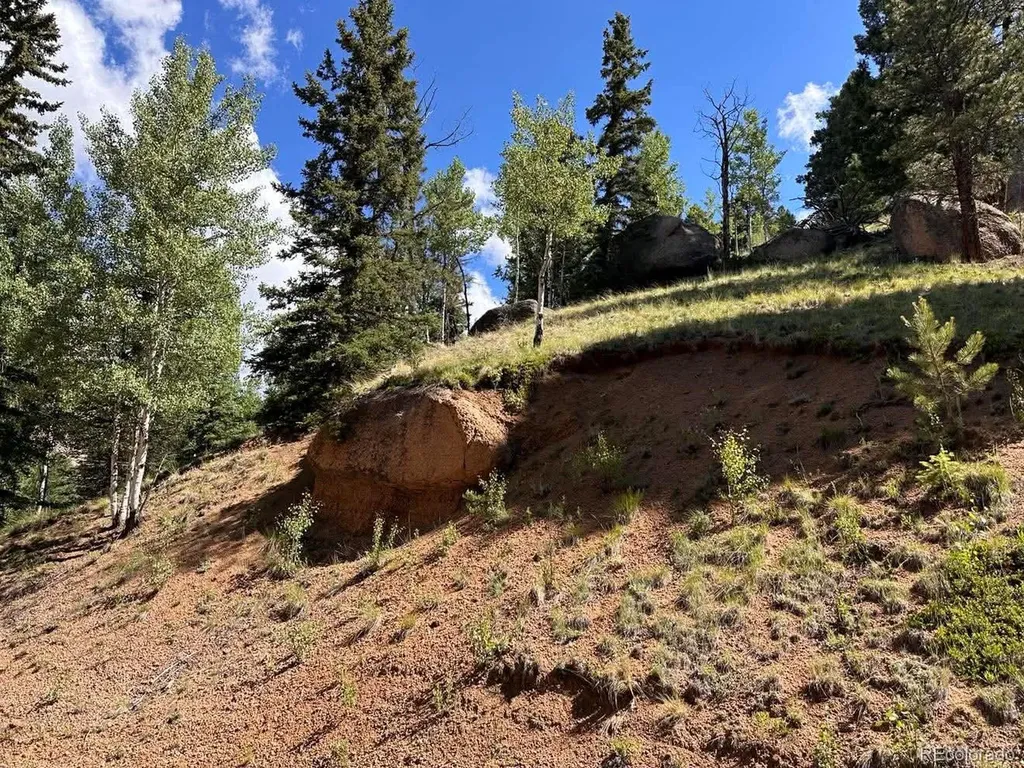 458 Arrowhead Road Florissant CO 80816