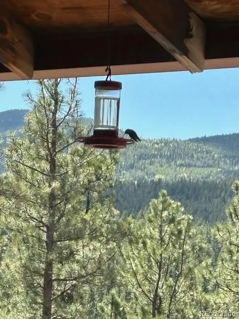 34 Normandy Road Evergreen CO 80439