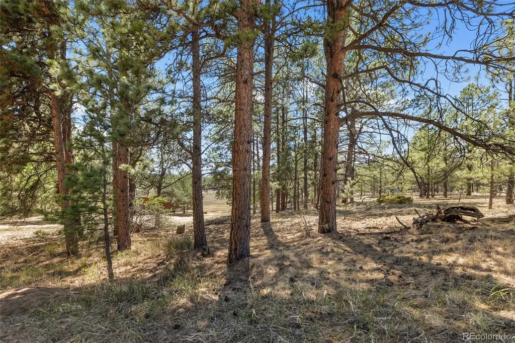 349 Rhyolite Lane Florissant CO 80816