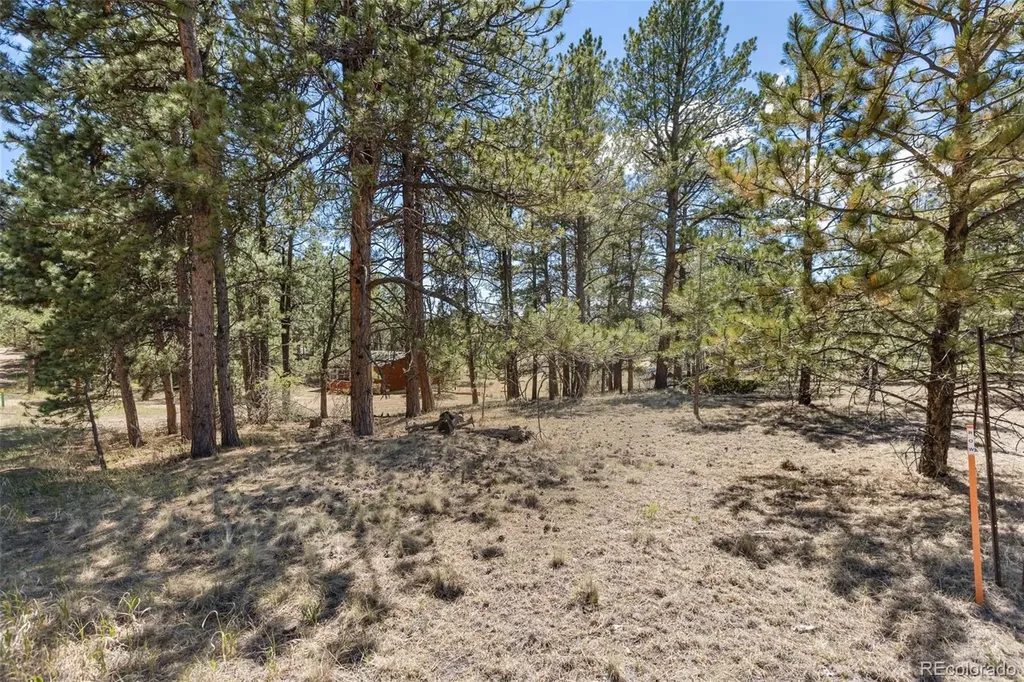 349 Rhyolite Lane Florissant CO 80816