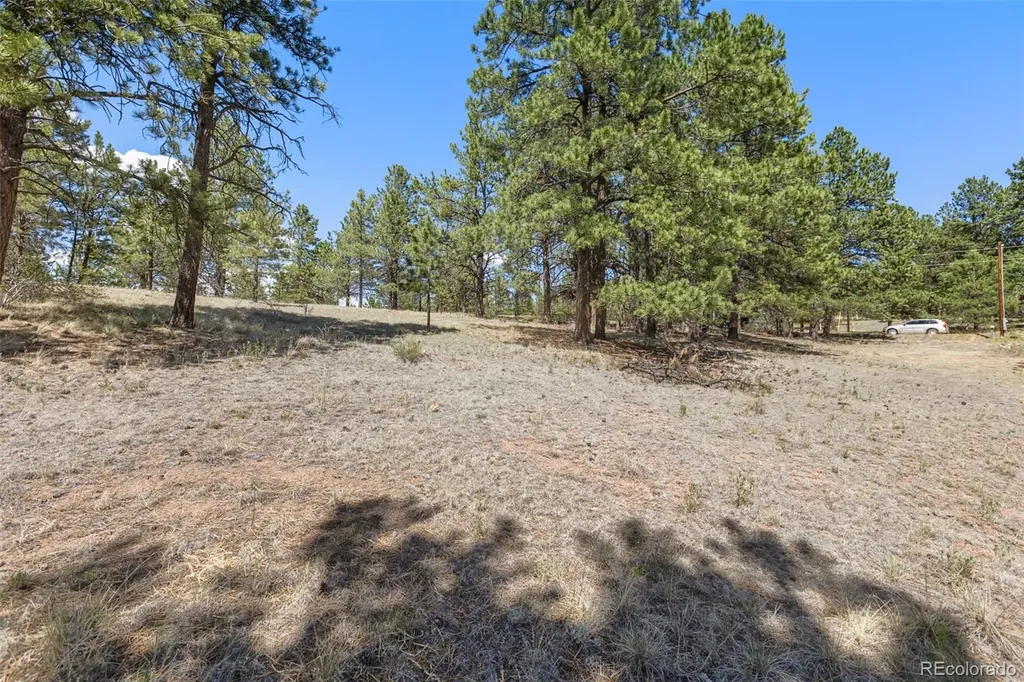 349 Rhyolite Lane Florissant CO 80816