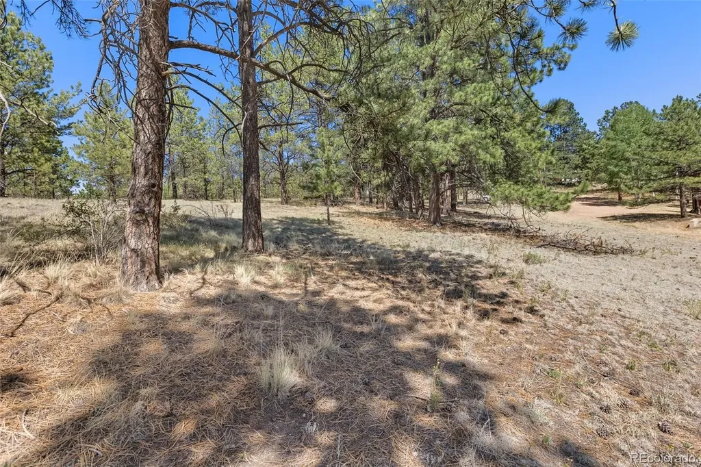 349 Rhyolite Lane Florissant CO 80816