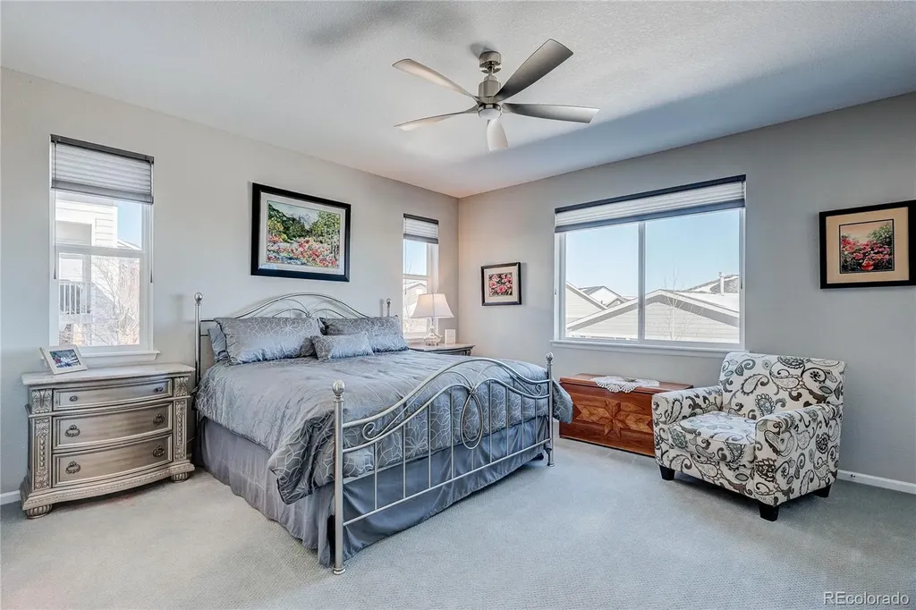 6602 Mentha Drive Castle Rock CO 80108