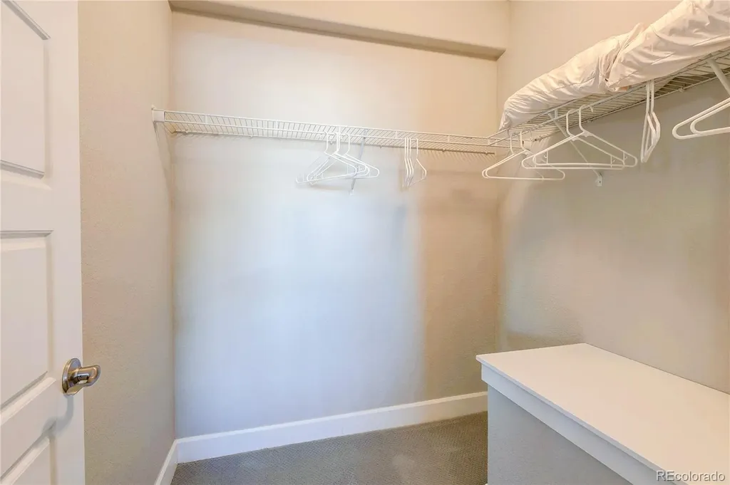6602 Mentha Drive Castle Rock CO 80108