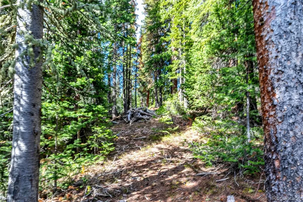 413 Carroll Lane Breckenridge CO 80424