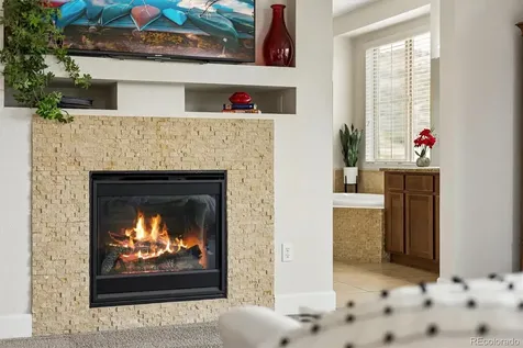 10629 Ladera Point Lone Tree CO 80124