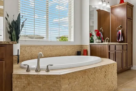 10629 Ladera Point Lone Tree CO 80124