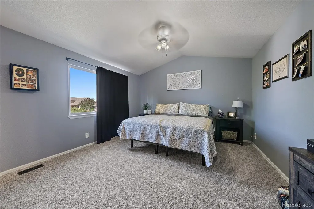 3700 Black Feather Trail Castle Rock CO 80104