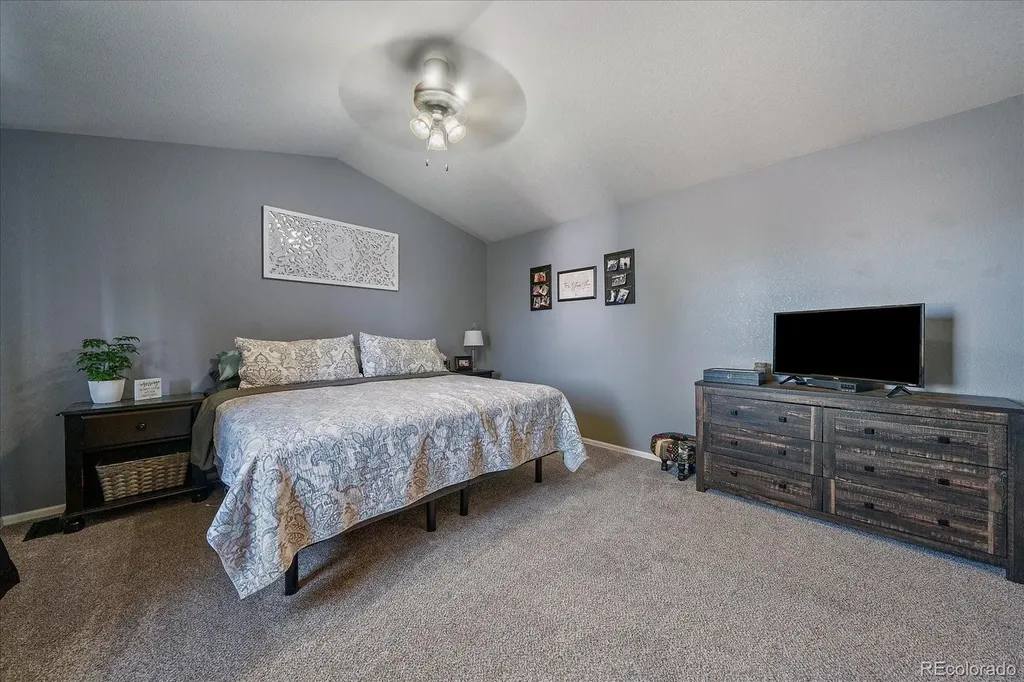 3700 Black Feather Trail Castle Rock CO 80104