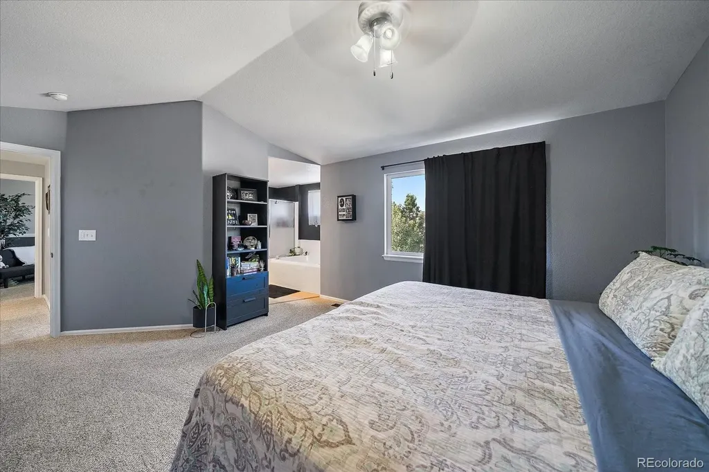 3700 Black Feather Trail Castle Rock CO 80104