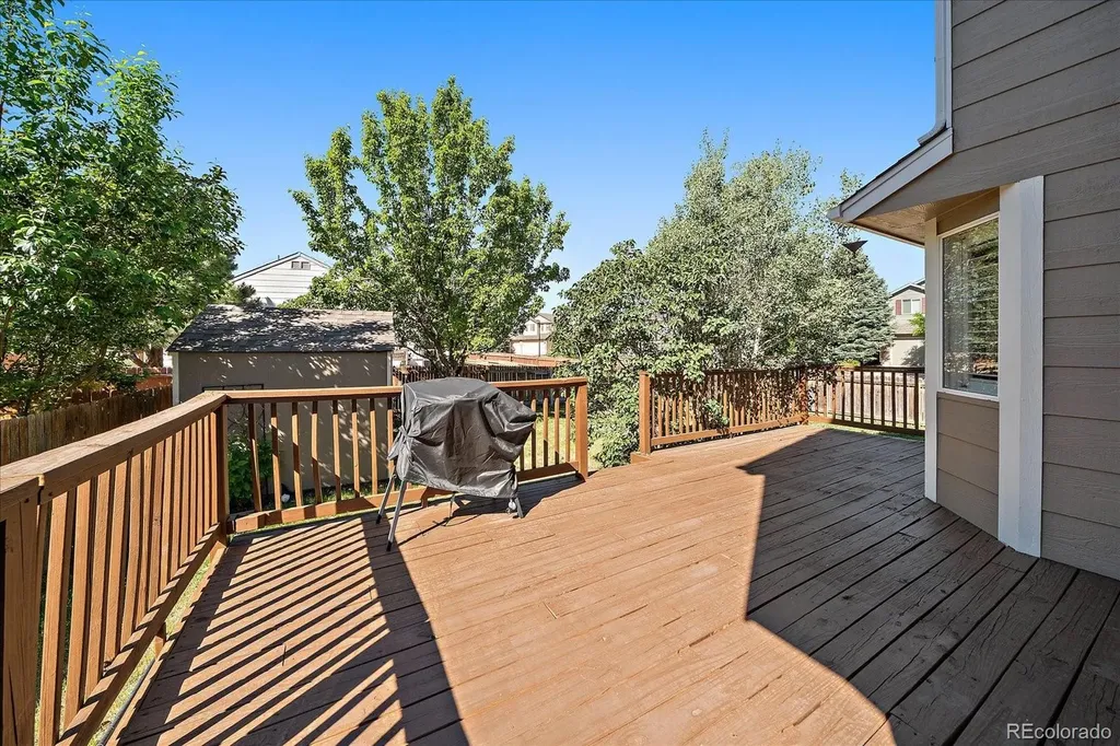 3700 Black Feather Trail Castle Rock CO 80104