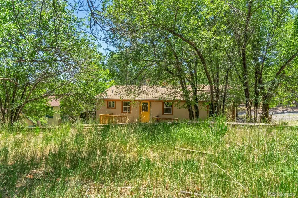 344 Plainview Place Manitou Springs CO 80829