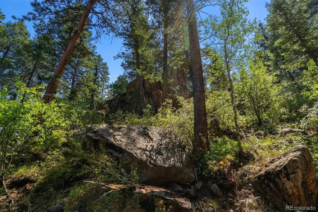 12954 Kuehster Road Littleton CO 80127