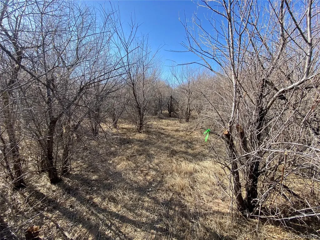 14 Ghost River Ranch Walsenburg CO 80189