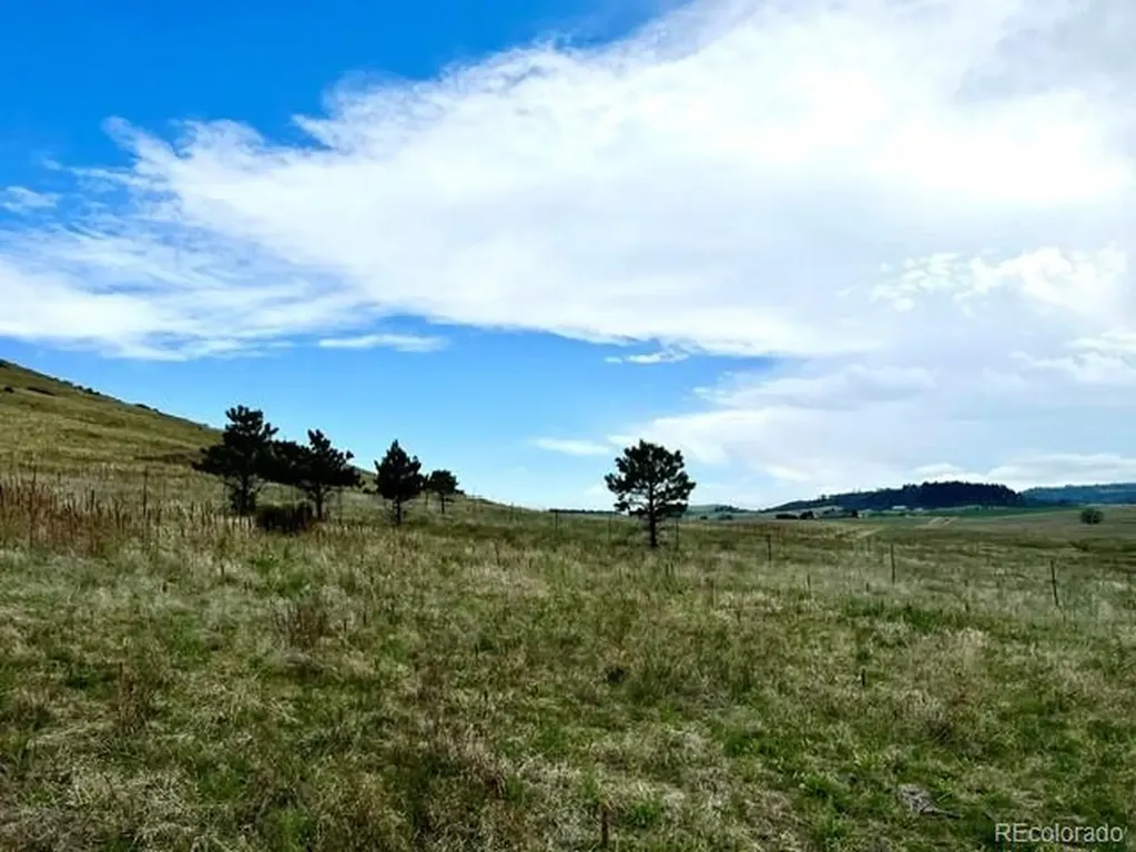 11977 Haskell Creek Road Larkspur CO 80118