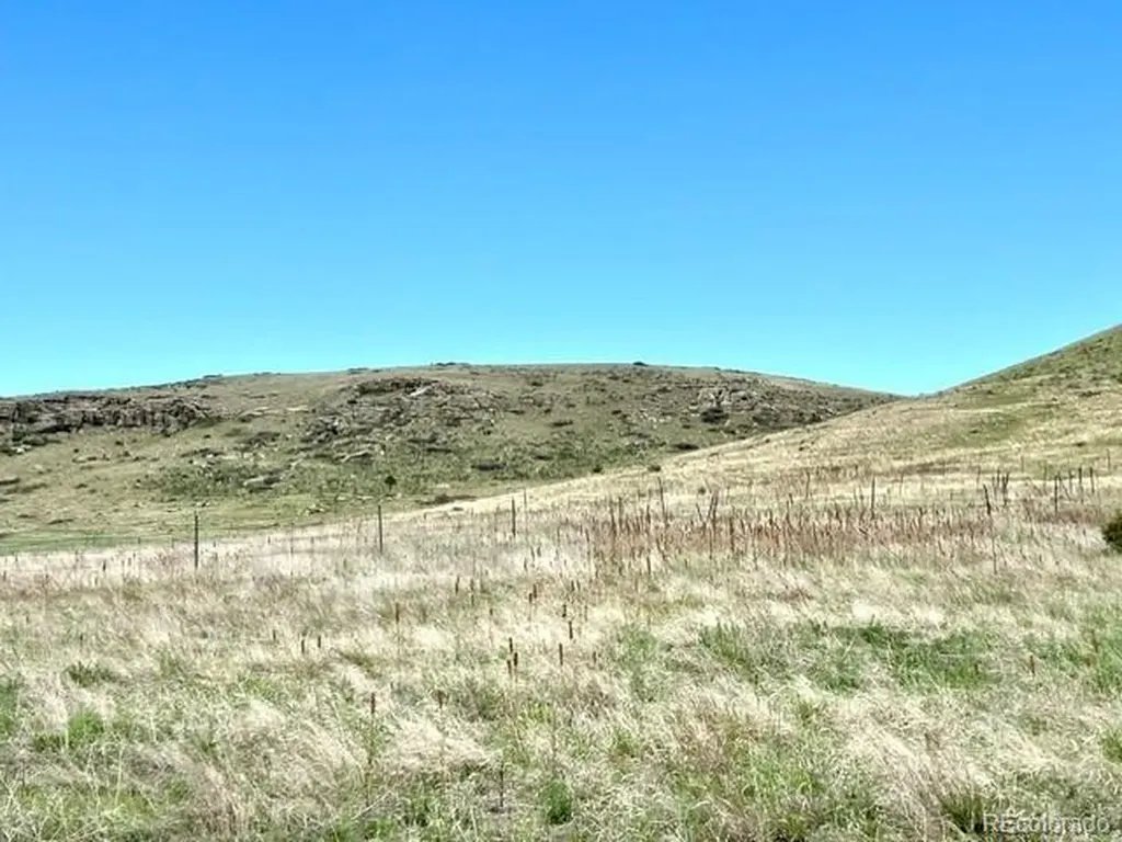 11977 Haskell Creek Road Larkspur CO 80118