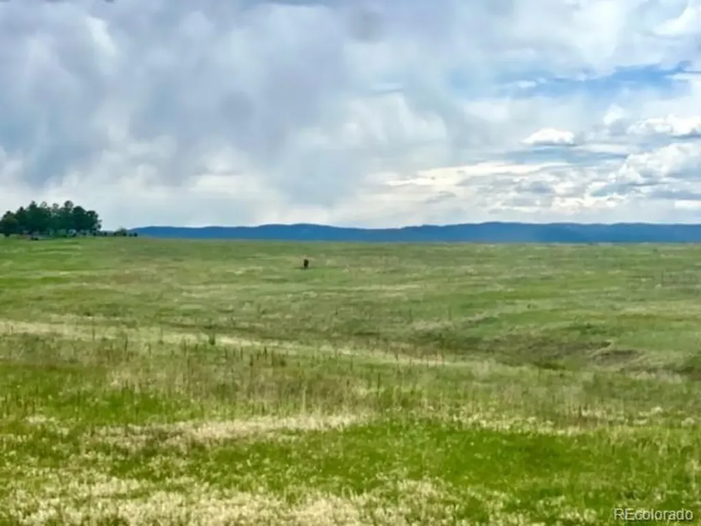 11977 Haskell Creek Road Larkspur CO 80118