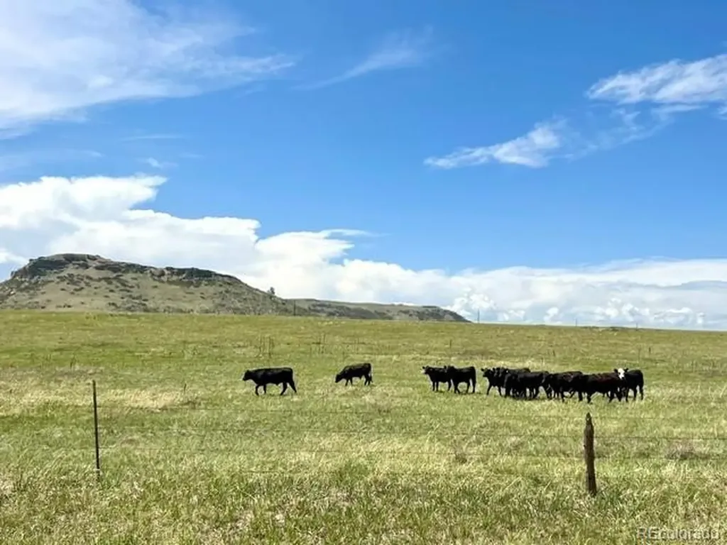 11977 Haskell Creek Road Larkspur CO 80118