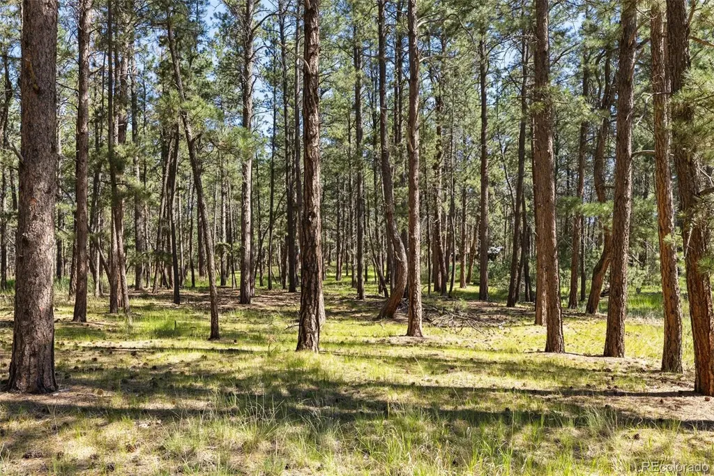 7005 Shoup Road Colorado Springs CO 80908