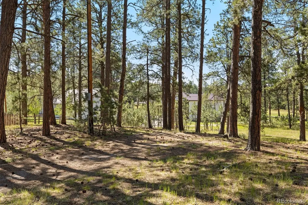 7005 Shoup Road Colorado Springs CO 80908