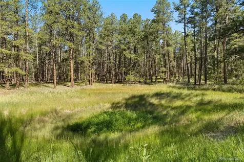 7005 Shoup Road Colorado Springs CO 80908