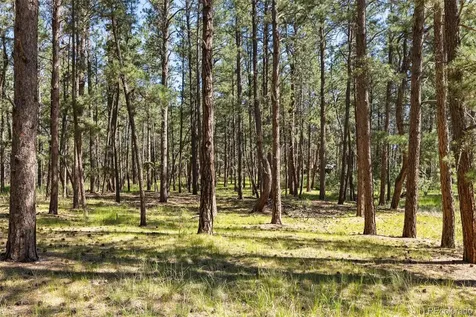 7005 Shoup Road Colorado Springs CO 80908
