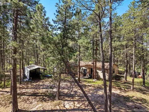 7005 Shoup Road Colorado Springs CO 80908