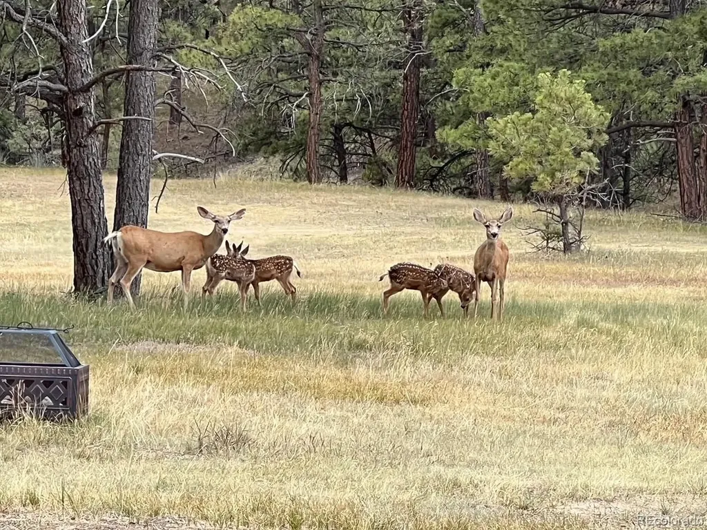 24124 Agate Trail Deer Trail CO 80105