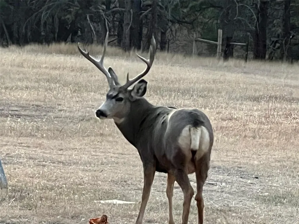 24124 Agate Trail Deer Trail CO 80105
