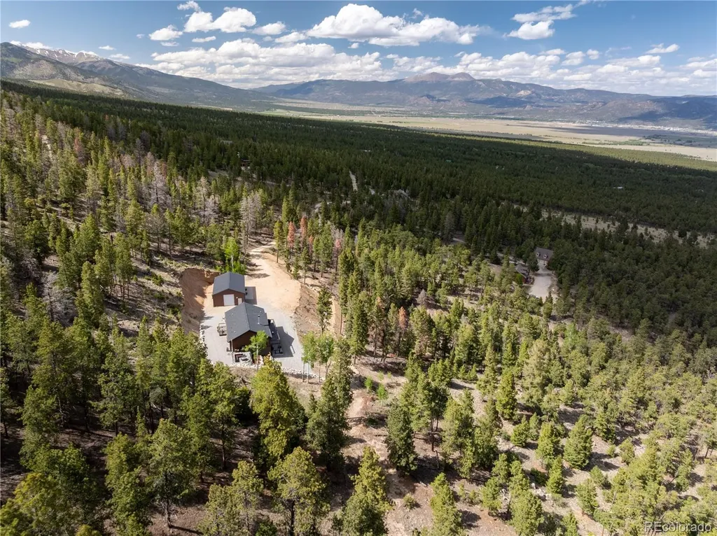 16874 County Road 325 Buena Vista CO 81211