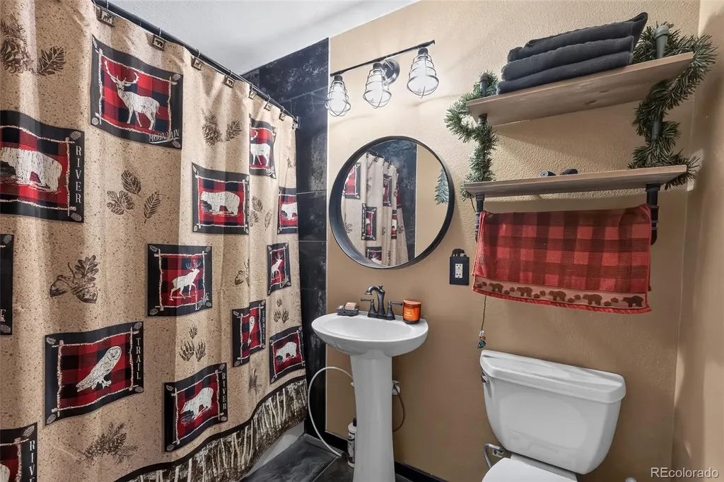 1089 Burland Drive Bailey CO 80421