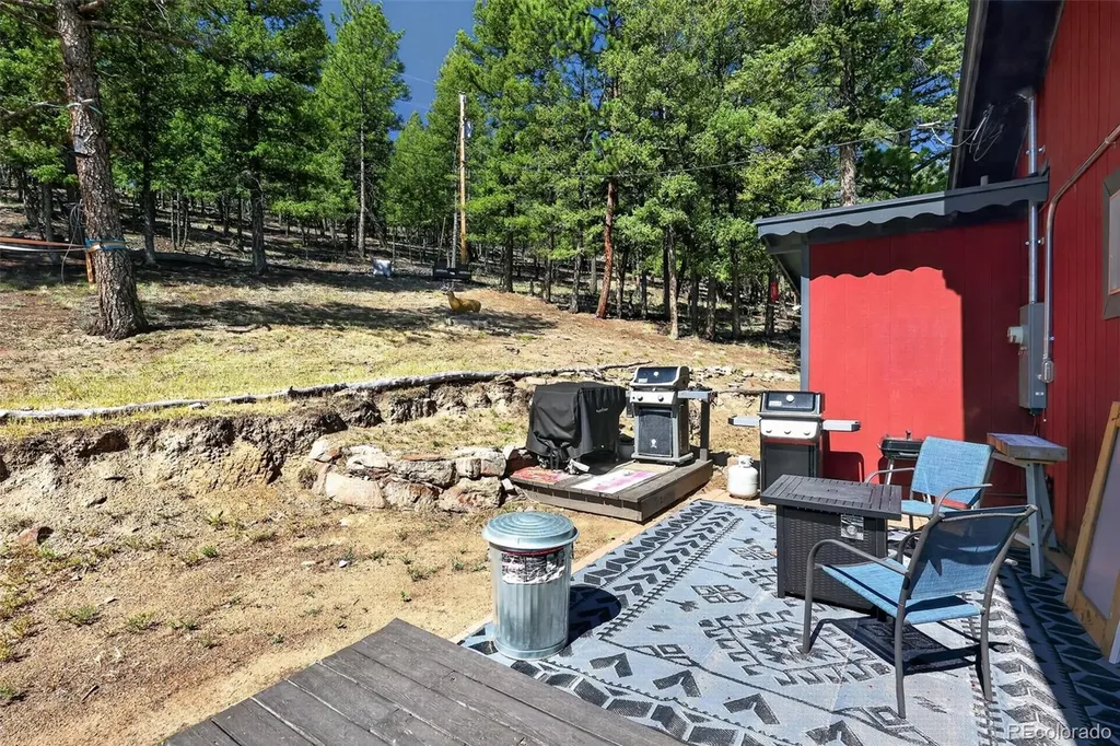 1089 Burland Drive Bailey CO 80421