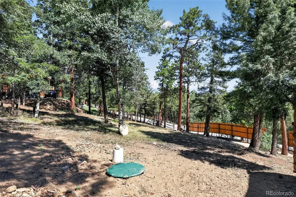 1089 Burland Drive Bailey CO 80421