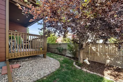 4455 Hydrangea Way Castle Rock CO 80109