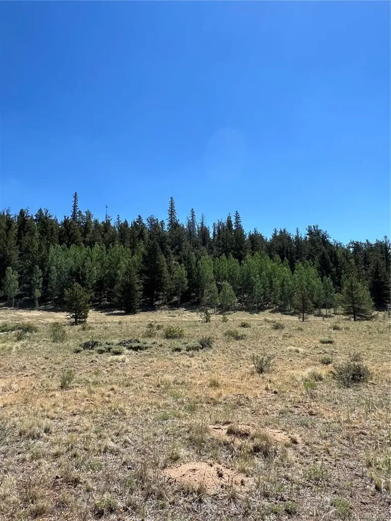 152 Co Road 665 Fairplay CO 80440