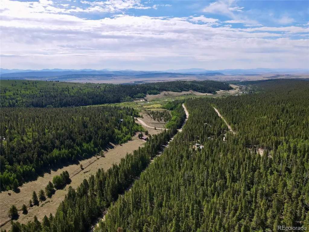 152 Co Road 665 Fairplay CO 80440
