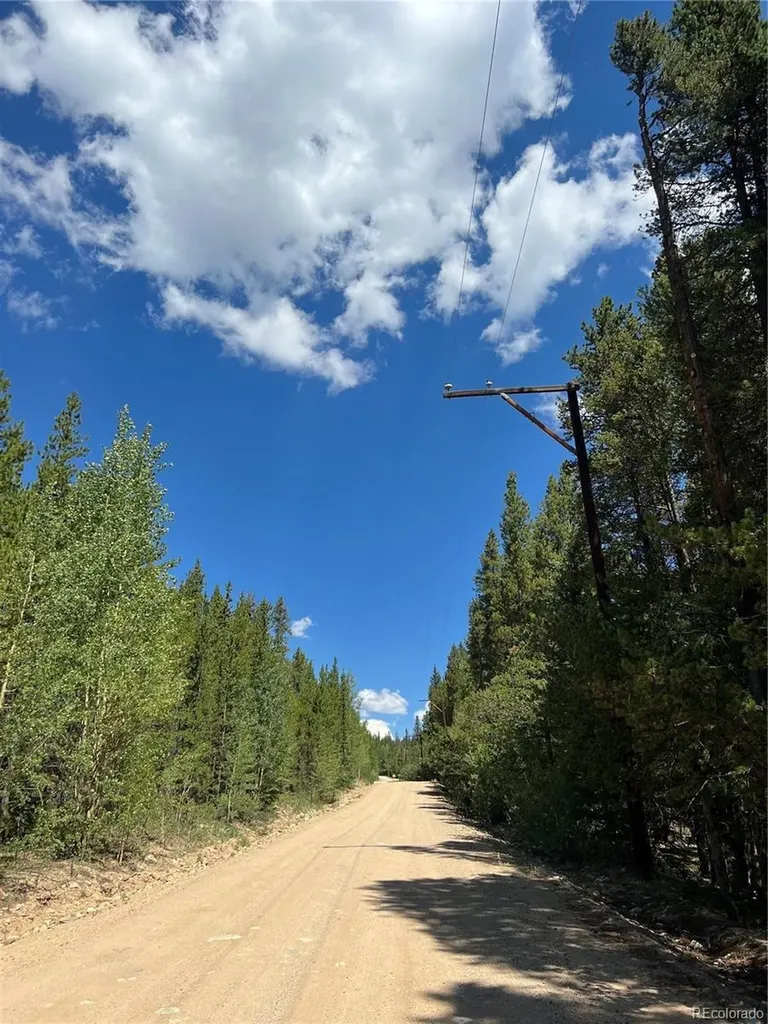 152 Co Road 665 Fairplay CO 80440